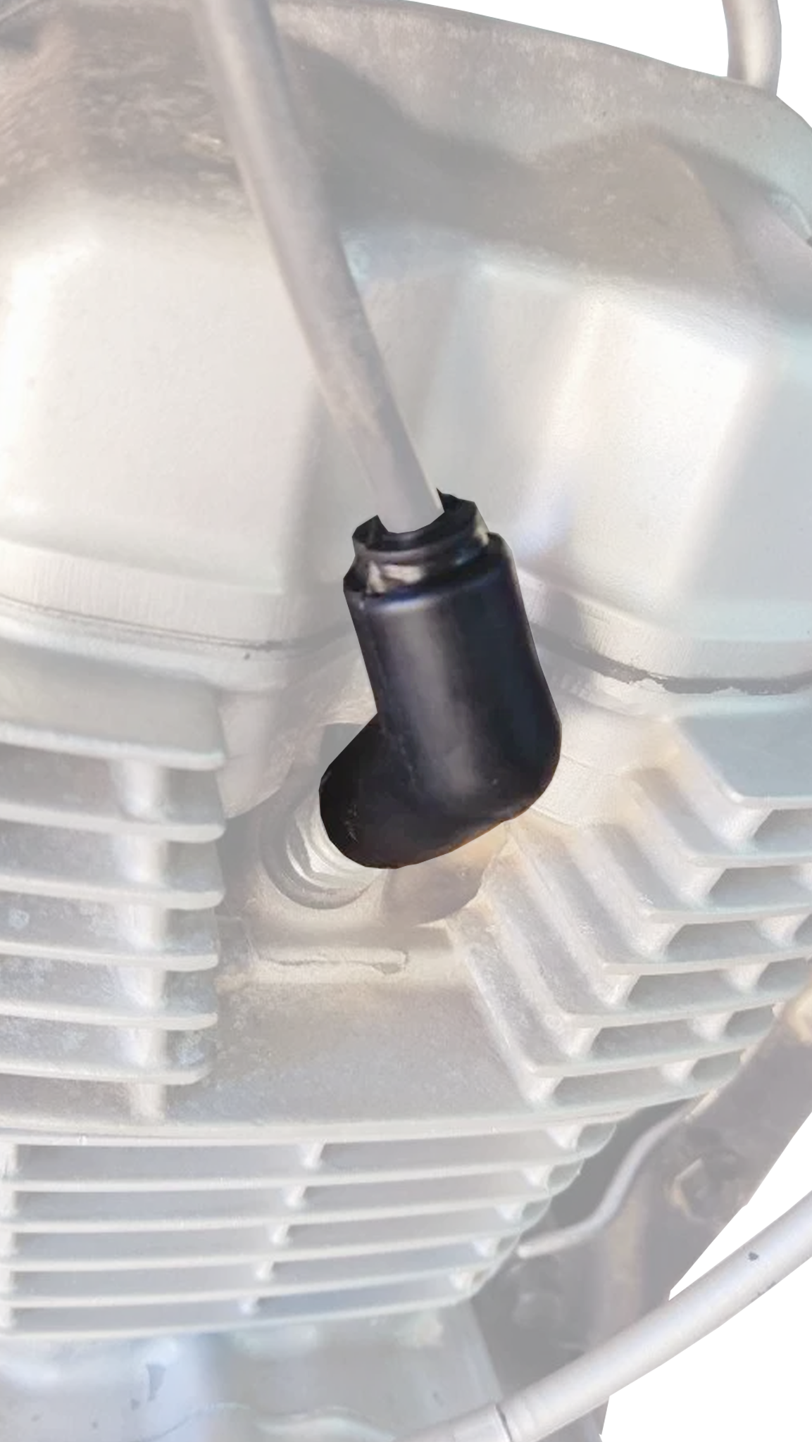 Selected Variant Image